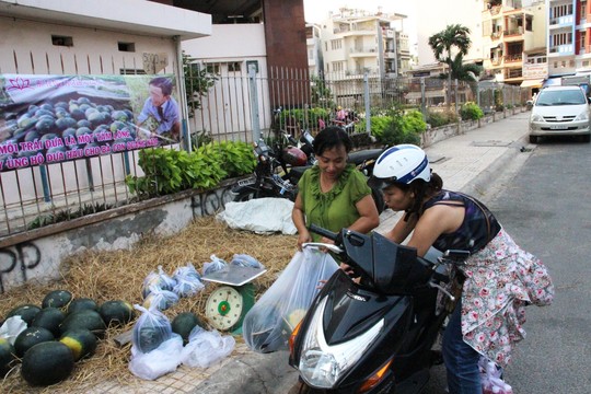 Không ít người dân Sài Gòn kéo nhau đến mua dưa khi đọc được khẩu hiệu “Mỗi trái dưa một tấm lòng”.