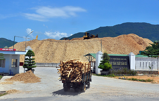 Nhà máy sản xuất dăm gỗ thuộc Công ty TNHH Hoàng Anh Khôi. Ảnh: VINH ANH