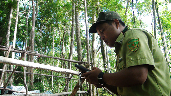 Lực lượng chức năng tăng cường kiểm tra, bảo vệ rừng. Ảnh: Đ.H