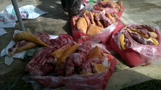
Thịt heo đã chuyển màu và bốc mùi hôi thối sắp được chuyển ra TP Đà Nẵng Ảnh: CSGT cung cấp
